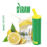 Wholesale Gost Straw Disposable Vape - 3000 Puffs - Pack Of 10
